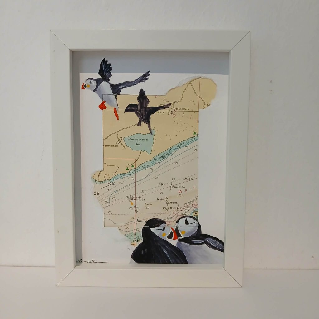 Papageientaucher 27 - 13 x 18 cm