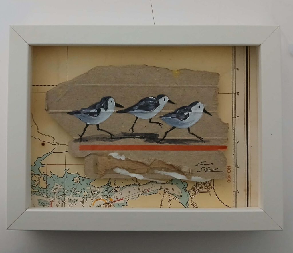 Strandläufer 4 - 13 x 18 cm