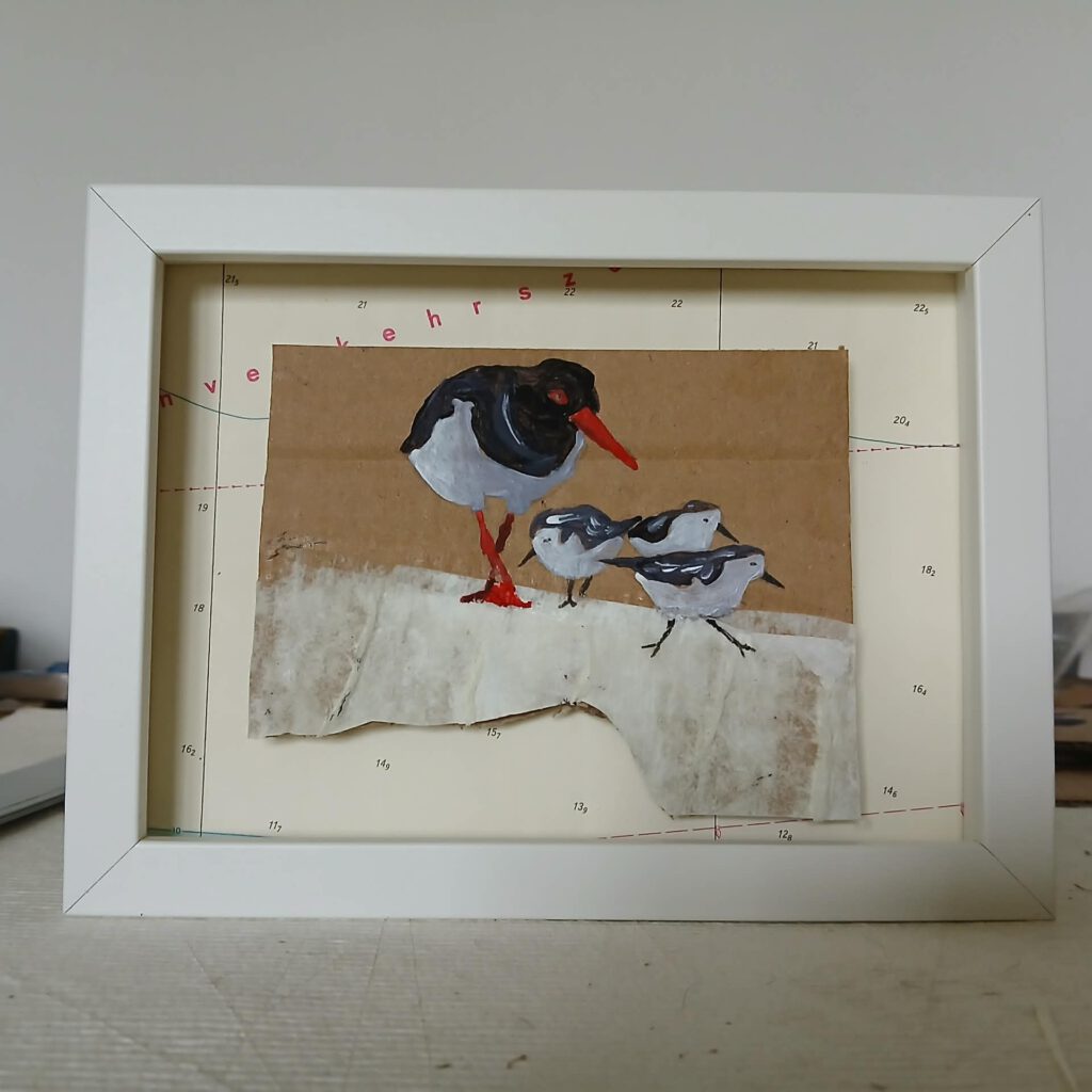 Austernfischer und Strandläufer 5 - 13 x 18 cm