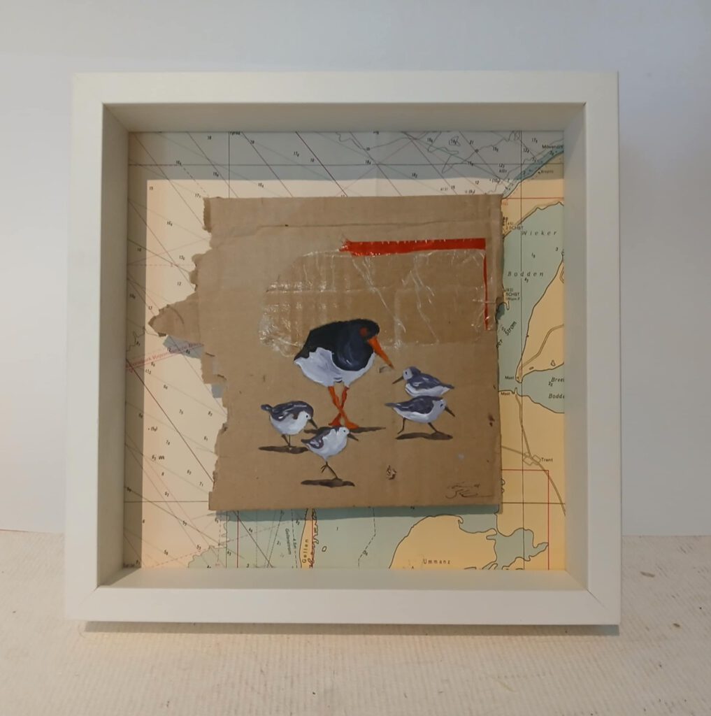 Austernfischer und Strandläufer 3 - 25 x 25 cm