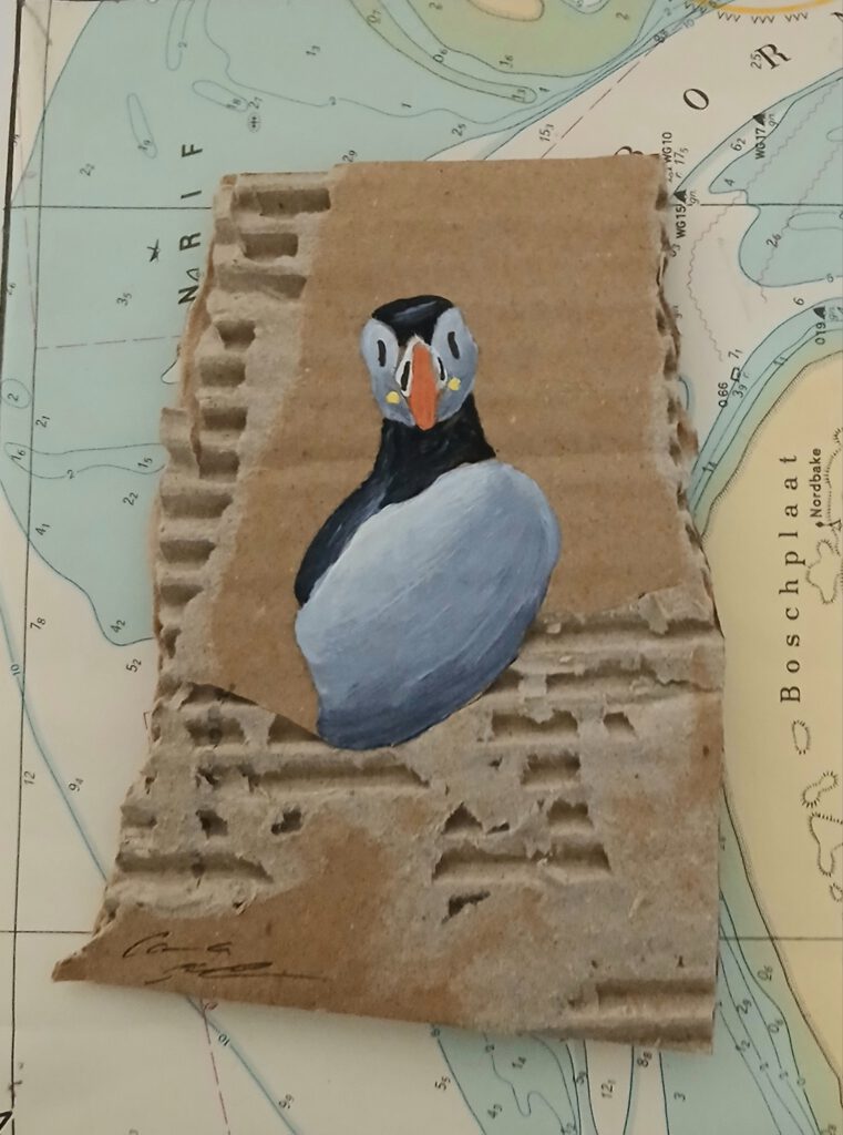 Papageientaucher 30 - 13 x 18 cm