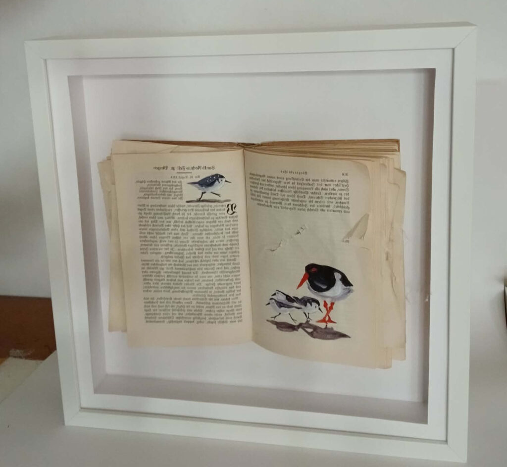 Austerfischer und Strandläufer 4 - 35 x 35 cm