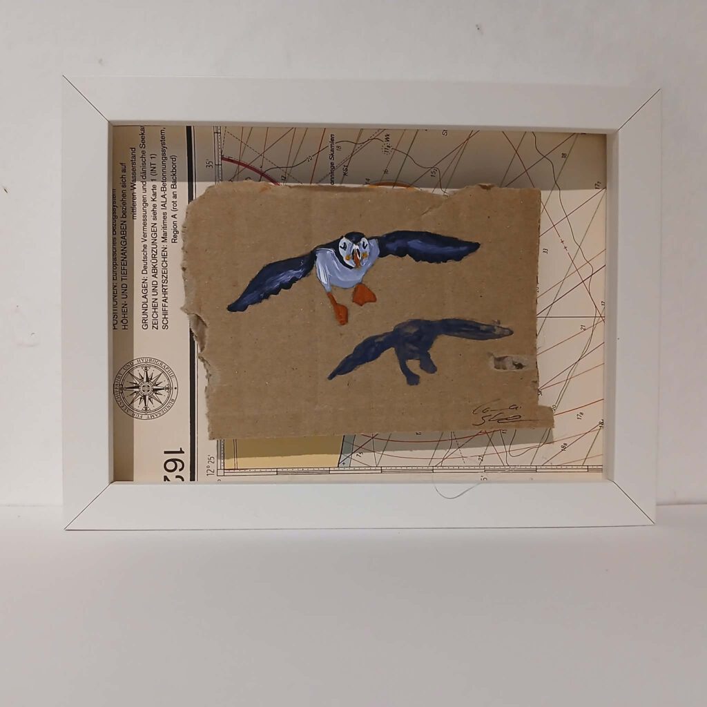 Papageientaucher 28 - 13 x 18 cm